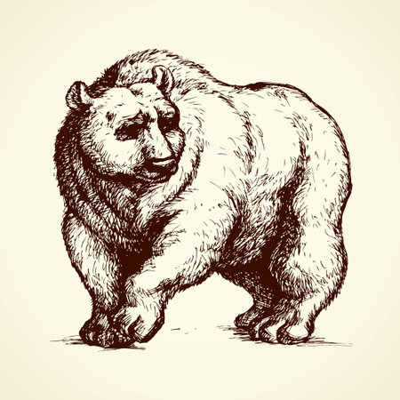 Fear furry carnivoran Ursidae stand on light backdrop. Freehand outline black ink hand drawn picture sketchy in art retro scribble style pen on paper. Closeup side view with space for text on skyのイラスト素材