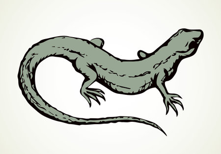 Green african arboreal Lacertilia reptilia on light soil backdrop. Freehand outline black ink hand drawn pictogram emblem design in retro art doodle engrave style pen on paper text space. Closeup viewのイラスト素材
