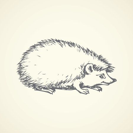 Adorable spiky Erinaceidae stand on white backdrop. Freehand linear dark ink hand drawn picture sketchy in art scribble retro style pen on paper. Closeup side view with space for text on earthのイラスト素材