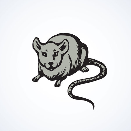 Furry Rattus on light backdrop. Freehand dark ink hand drawn sketchy in retro scribble style pen on paper. View closeup with space for textのイラスト素材