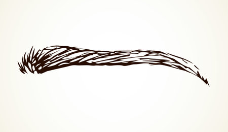 Modern thin big male eyelash light backdrop. Freehand linear dark ink hand drawn emblem insignia sketchy in retro artistic scribble etched print stylize pen on paper space for text. Close up viewのイラスト素材