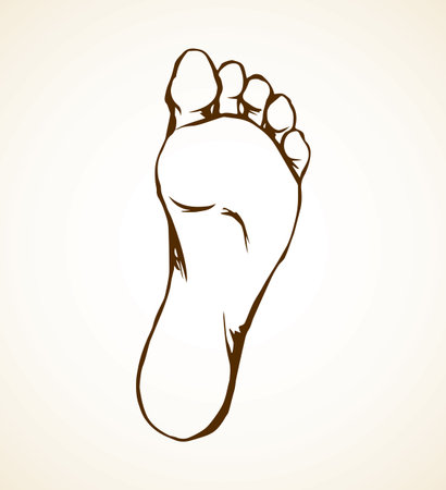 Naked flatfoot on light backdrop. Freehand line black ink hand drawn picture logo emblem sketchy in retro art scribble contour graphic style pen on paper. Closeup bottom macro view with space for textのイラスト素材