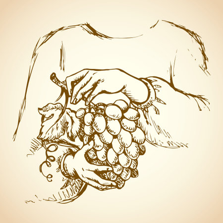 Girls's hardwork palm picking old grapevine cluster in vineyard. Freehand outline ink drawn picture sketchy in art doodle retro style pen on paper. Closeup view and space for text on yellow backgroundのイラスト素材