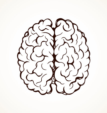 Cross section top detail view healthy neuron logic part on light paper background. Outline black ink hand drawn ill nerve cortex brainy picture logo diagram pictogram in doodle art retro cartoon styleのイラスト素材