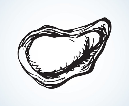 Big fresh perl Ostreidae mollusc on white backdrop. Outline black ink hand drawn french diet delicacy dining logo emblem sketchy in retro art cartoon doodle engraved style pen on paper space for textのイラスト素材