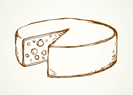 Tasty healthy fat dutch brie segment on light backdrop. Freehand outline black ink hand drawn french chees emblem design in retro art doodle engrave print style pen on paper text space. Closeup viewのイラスト素材