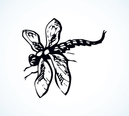 Big cute anisoptera on light backdrop. Freehand dark gray ink hand drawn logotype insignia sketchy in retro artistic doodle contour etching style pen on paper space for text. Close up detail viewのイラスト素材