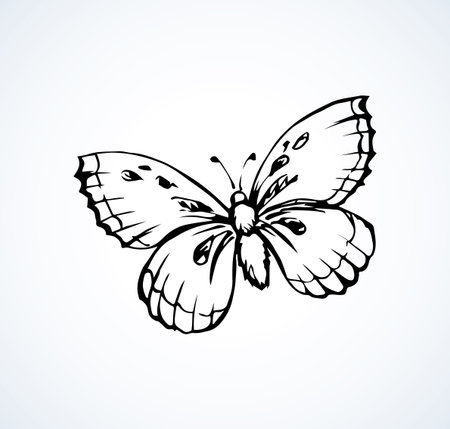 Big cute wild fly hexapod bug isolated on white backdrop. Freehand linear black ink hand drawn logo in art retro scribble design style pen on paper. View close up with space for text on light skyのイラスト素材