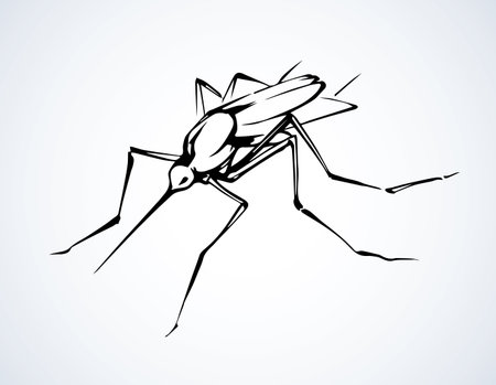 Small tropic mosquitoe dipterus sucker on white skin backdrop. Freehand outline black ink hand drawn emblem sketchy in retro art scribble cartoon style pen on paper. Close up view with space for textのイラスト素材
