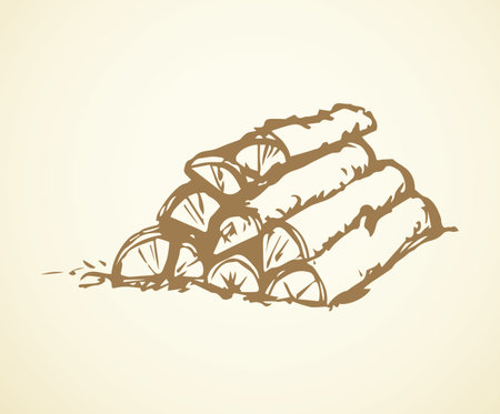 Kindler old sawn firelighter fuelwood billet stock for burn isolated on white backdrop. outline black ink hand drawn picture object sketch in art doodle vintage style with space for text. Closeup viewのイラスト素材