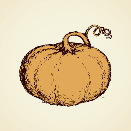 Tasty raw ripe fresh sappy melon fruitage isolated on white backdrop. Freehand linear black ink hand drawn picture sign sketchy in art scribble style pen on paper. View closeup and space for textのイラスト素材