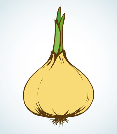 Ripen eco raw fresh common bulb leek fruitful icon isolated on white backdrop. Freehand vibrant color hand drawn symbol sign sketchy in art scribble retro style. Closeup view with space for textのイラスト素材