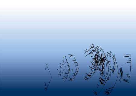Vector background with a view of the tranquil lake at night with moonlight in front of a silhouette bent reedsのイラスト素材