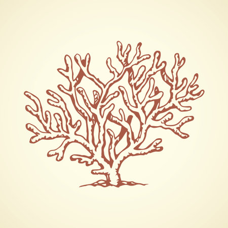 Deep old invertebrate Anthozoa Cnidaria polyp bush isolated on white backdrop. Freehand outline ink hand drawn picture sketchy in art retro scribble style pen on paper. View closeup and space for textのイラスト素材