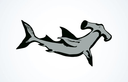 Great bonnethead Sphyrna mokarran on white backdrop. Freehand linear black ink hand drawn picture logo sketchy in art retro doodle contour graphic style pen on paper. View closeup with space for textのイラスト素材