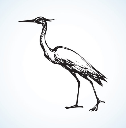 animal, background, beak, big, bird, black, cartoon, contour, crane, cute, doodle, drawing, egret, elegant, engraving, fauna, feather, flight, flying, freedom, graphic, head, heron, icon, illustration, isolated, large, leg, life, long, nature, neck, ornithology, painting, pencil, plumage, profile, shape, sign, silhouette, sketch, sky, soars, stork, symbol, vector, white, wild, wildlife, wingのイラスト素材