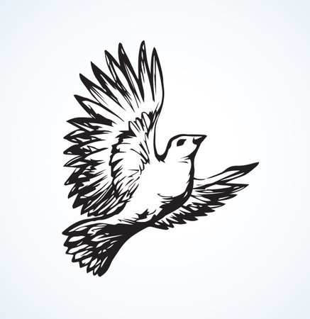 Romantic grace collurio on white heaven backdrop. Freehand outline black ink hand drawn lanius birdie logo emblem picture sketchy in art vintage doodle style pen on paper space for text. Closeup viewのイラスト素材