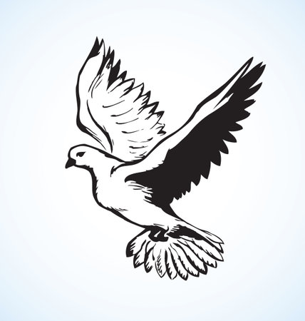 Romantic grace volant dove isolated on white background. Pax allegory concept or bridal card. Freehand ink drawn icon sketchy in art doodle style pen on paper. View closeup with space for text on skyのイラスト素材