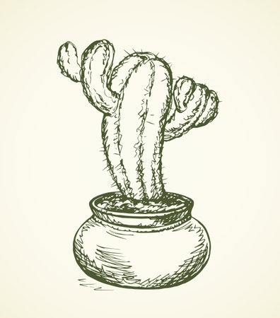 Big cute peyote in round vase on white backdrop. Freehand linear black ink hand drawn picture logo sketchy in art retro scribble style pen on paper. View closeup with space for text on jarのイラスト素材