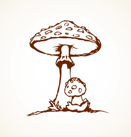 Raw ripe grebe parasol on white backdrop. Freehand line black ink hand drawn wild eco logo pictogram emblem sketchy in art retro scribble etch cartoon style pen on paper. Close-up with space for textのイラスト素材