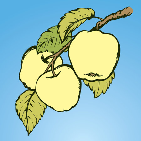 Ripening raw fresh pomum fruitful on tree twig isolated on white backdrop. Freehand hand drawn symbol sign sketchy in art scribble style pen on paper. Closeup view with space for text on blue skyのイラスト素材