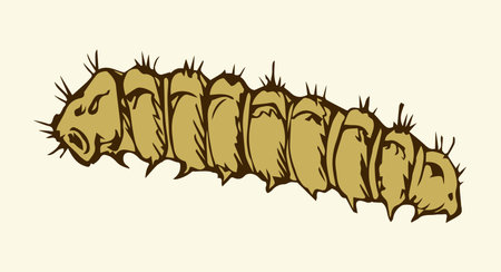 Big wild garden hairy butterfly grub isolated on white backdrop. Freehand outline black ink hand drawn picture sketchy in art scribble retro style pen on paper. Close-up micro view with space for textのイラスト素材
