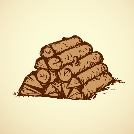Kindler old sawn firelighter fuelwood billet stock for burn isolated on white backdrop. outline black ink hand drawn picture object sketch in art doodle vintage style with space for text. Closeup viewのイラスト素材