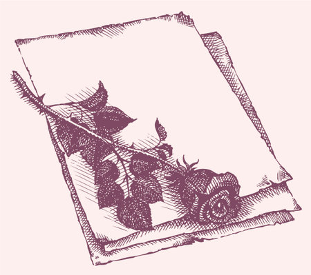Vector frame. Sketch of cut roses on a sheet of old paperのイラスト素材