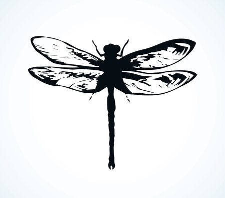 Big cute anisoptera on light backdrop. Freehand dark gray ink hand drawn logotype insignia sketchy in retro artistic doodle contour etching style pen on paper space for text. Close up detail viewのイラスト素材