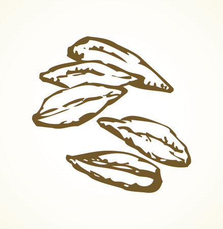 Ripe dry small pearl herb group on light backdrop. Freehand outline black ink hand drawn raw peel shell husk logo emblem in vintage art doodle cartoon style on paper space for text. Closeup macro viewのイラスト素材