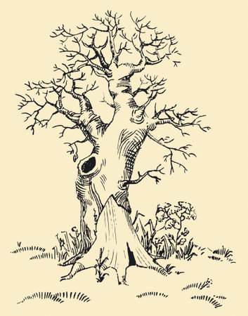 Vector drawing. The old dead tree stands alone among the fieldのイラスト素材