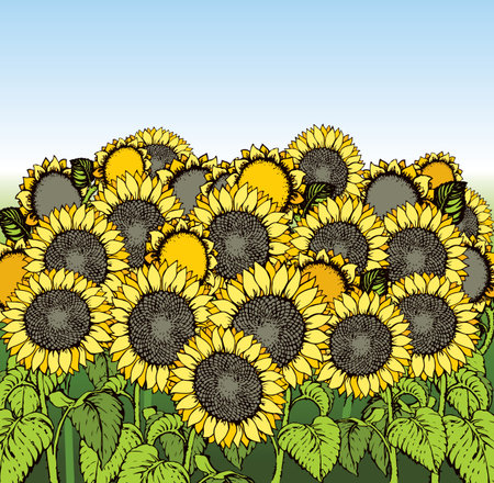 Cute large golden oil helianthus head isolated on blue heaven scenery backdrop. Bright gold color hand drawn eco image sign icon in modern art cartoon style on space for text. Scenic old village viewのイラスト素材