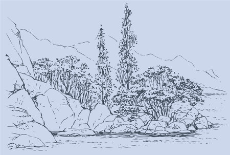 Vector landscape. Cypress trees and shrubs on the rocky beachのイラスト素材