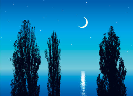 Vector image. Night silhouettes of poplars by the sea illuminated by the moon and starsのイラスト素材