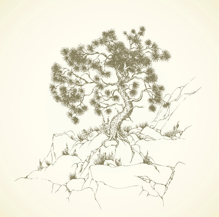 Old alone Pinus plant on craggy bluff chasm isolated on white backdrop. Freehand outline ink drawn scenic picture sketchy in art retro scribble graphic style pen on paper with space for text on skyのイラスト素材