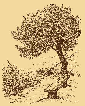 Vector landscape. Old bench near the tree on the bank of the lakeのイラスト素材