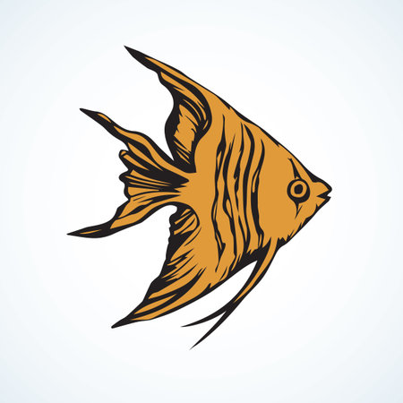 Small cute gold saltwater triangular pygoplites cichlid on light blue backdrop.のイラスト素材