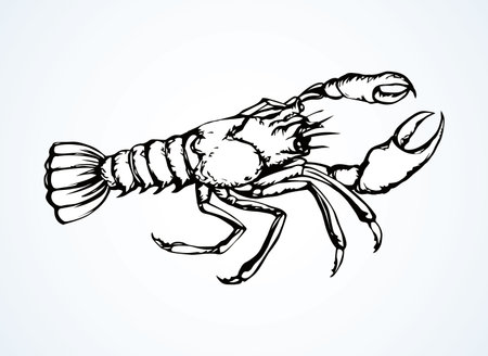Big old gray anthropod panulirus mudbug set isolated on white background. Freehand bright color hand drawn.のイラスト素材