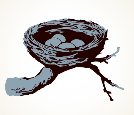 New twig woven eco birdnest on white backdrop. Line black ink hand drawn birdie embryo.のイラスト素材