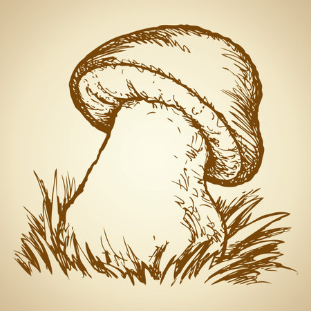 Appetizing big Cep in green grass on a glade in the autumn forest. Vector monochrome freehand black on white ink drawn backdrop sketch in art antique scrawl style pen on paper. View close-up with space for textのイラスト素材