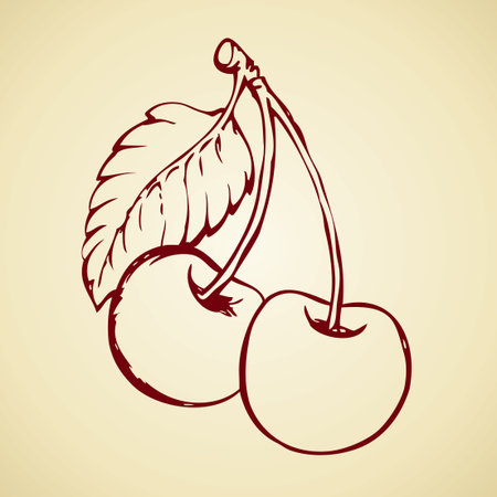 Tasty ripe raw fresh sappy Plums fruitful on tree sprig isolated on white backdrop. Freehand outline ink hand drawn picture sketchy in art doodle style pen on paper. View closeup with space for textのイラスト素材