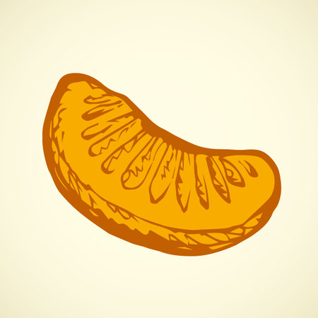 Ripe eco sappy fresh Aurantium fruitful isolated on white backdrop. Freehand outline ink hand drawn symbol sign sketchy in art retro scribble style pen on paper. Closeup macro view with space for textのイラスト素材