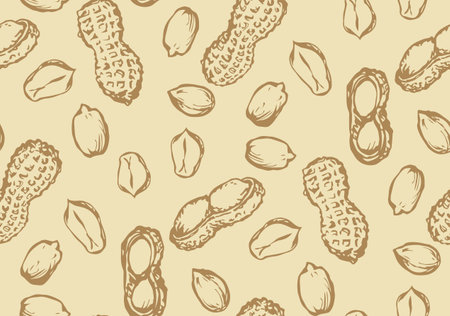 Small ripe raw tasty Arachis hypogaea pods on beige backdrop. Freehand outline ink hand drawn picture object sketchy in art vintage scribble style pen on paper. Closeup tileable viewのイラスト素材