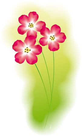 Vector image of bright red flowersのイラスト素材