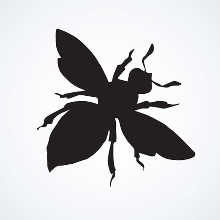 Little wild mimic drone Apoidea on light backdrop. Dark ink hand drawn picture  in art retro print style. Close up micro top view with space for textのイラスト素材