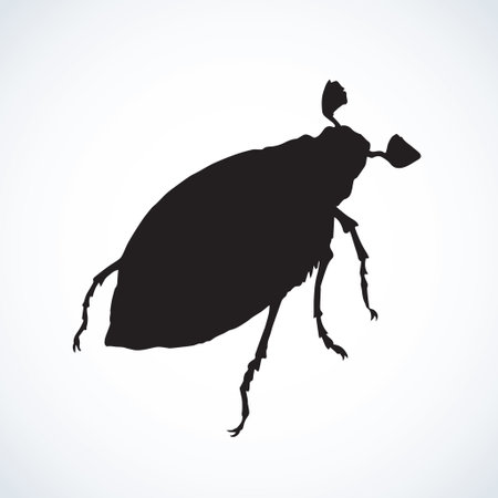 Wild Scarabaeidae Rutelinae isolated on white backdrop. Dark ink hand drawn picture in retro style. Close-up top viewのイラスト素材