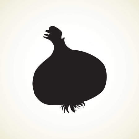 Ripe dry eco Allium sativum fruitful isolated on gray backdrop. Dark ink hand drawn picture in art print style. Closeup view with space for textのイラスト素材