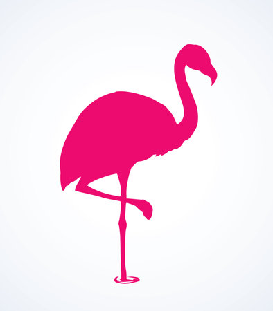 Big cute beautiful Phoenicopteridae on light pond backdrop. Bright magenta ink hand drawn picture badge logotype in retro artistic contour etching print style. Closeup view with space for text on seaのイラスト素材