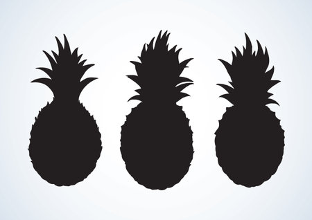 Yummy pinapple comosus fruitful isolated on white backdrop. Dark ink hand drawn picture in retro art print style. Closeup view with space for textのイラスト素材