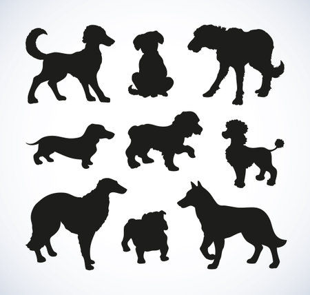 Different kinds of standing dogs set isolated on white background. Black ink hand drawn picture sketch in art retro doodle style pen on paper. Closeup side view with space for textのイラスト素材